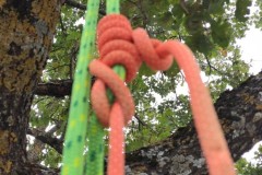 corso-formazione-treeclimbing-11