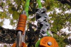 corso-formazione-treeclimbing-12