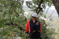 corso-formazione-treeclimbing-6