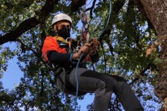 corso-formazione-treeclimbing-8