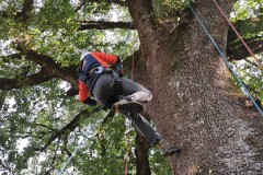 corso-formazione-treeclimbing-13